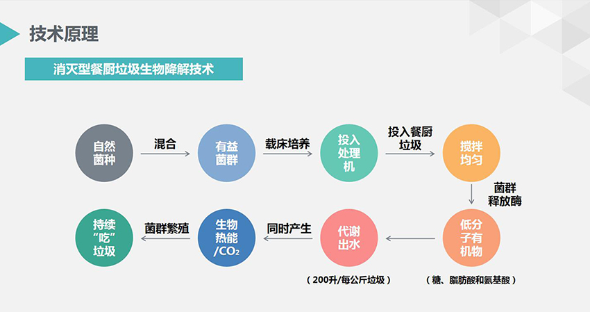 餐廚垃圾處理技術