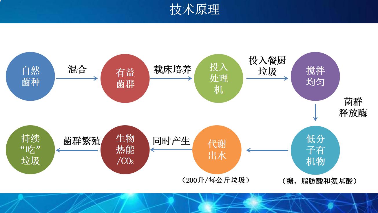 微生物處理技術的應用原理